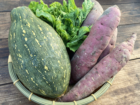 有機JAS認証☆季節のおまかせ野菜セット【約3㎏】