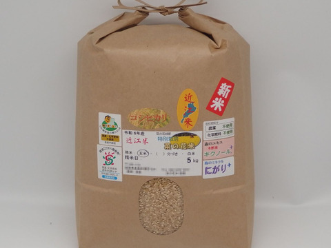 令和6年新米✣農薬化学肥料不使用✣近江米コシヒカリ✣玄米で食べてニッコリ菜の花米✣玄米5kg