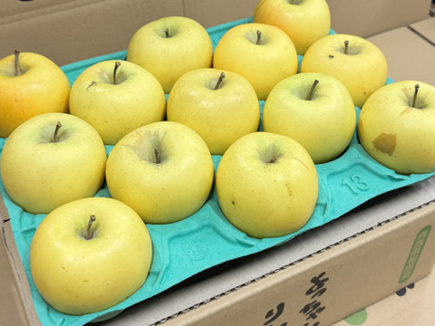 【お手頃・小玉】シナノゴールド　カワイイ小玉💛家庭用 約2.7Kg🍏　青森県産　数量限定