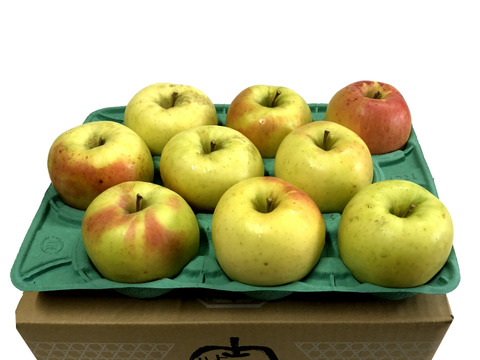 青森県産ぐんま名月💛訳あり🍏　約2.7Kg　数量限定