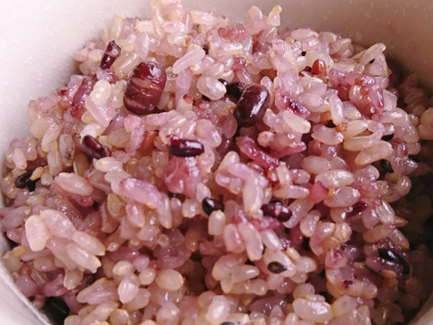 【もち米入り玄米】5kg   もち米入りで食べやすい玄米！　米禮夫婦（まいらいふ）