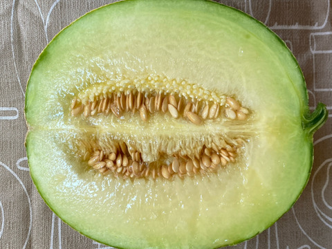 届いてからのお楽しみ甘い小玉スイカとメロンのセット