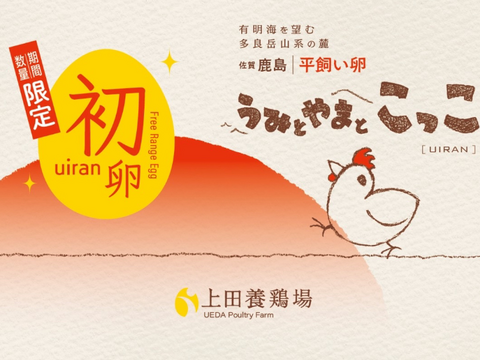 【予約数量限定】プリっと小さなたまご　うみとやまとこっこ20個入