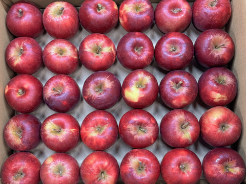 【加工用バラ詰め】小玉の紅玉!! スイーツ、お菓子、加工用・業務用🍎約4.5Kg青森県産