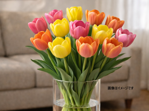 フラワーファームしろねのチューリップ切り花 15本アソートセット(5本束×3品種)※北海道・沖縄県配送不可※