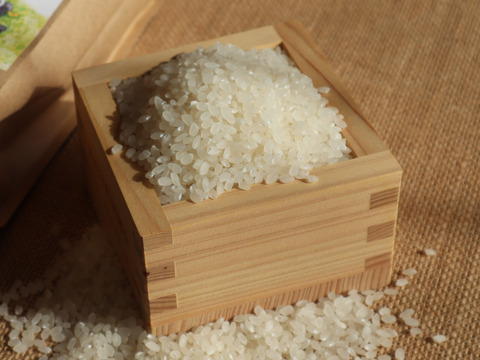 無洗米10kg