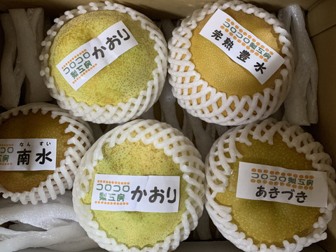【旬の梨食べ比べ‼️3～5品種】何が届くかお楽しみ😋贈答用2.5kg以上、豊水・あきづき・かおり・あきあかり・二十世紀・南水・にっこり・新高・王秋・新興・愛宕の中から3品種以上詰め合わせます‼️