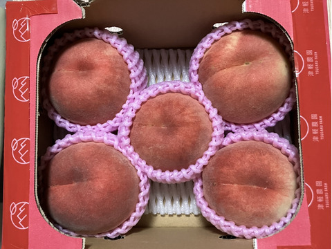 🍑さくら白桃　約1.5kg 5玉前後　9月上旬発送　希少な桃　【ASIAGAP認証農場：津軽農園】　安心・安全な桃　収穫した日に発送　家庭用　農家直送【朝どれ】