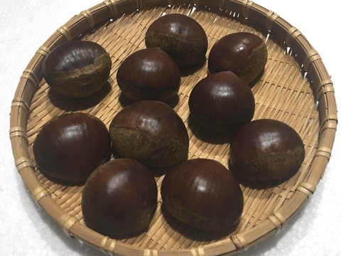 【最短出荷】和栗希少4Lサイズ 500ｇ