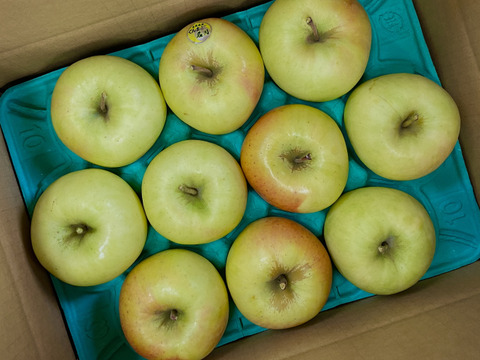 甘いりんごが好きな方に🍏ぐんま名月🍏　青森県産りんご　（8個から12個）