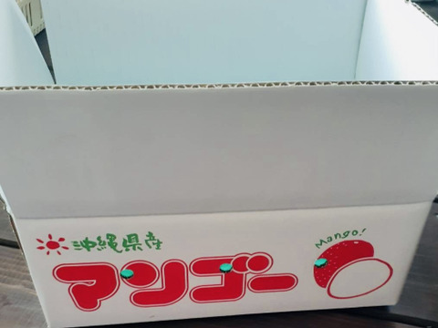 【マンゴーの日セール 7/10-7/15】家庭用マンゴー( 約1.5Kg)