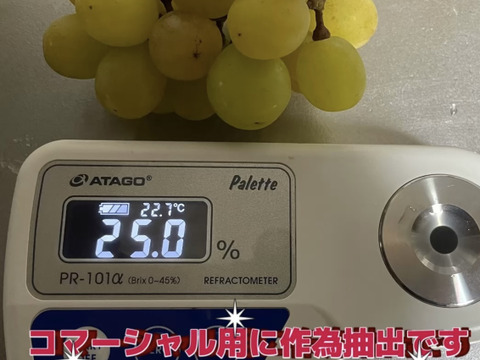 🔥タイムセールシ⑦■訳あり・小房・カット房■ 【シャインマスカット】2kg化粧箱