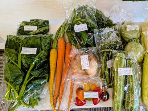 畑の今をお届け！SPIRA FARM BOX —旬の野菜セット—（10-12品目