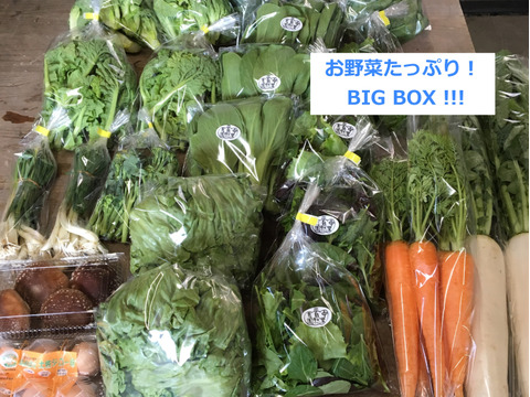 ●お得なBIG BOX● 中里自然農園/無農薬/お野菜詰め合わせBOX(約30〜35パック)