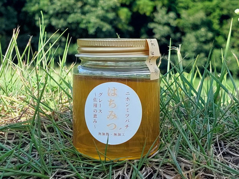 入荷通知 アプリ おすすめ 伝えたい🥺】自然入居🐝天然ニホンミツバチの「🍯はちみつ その他