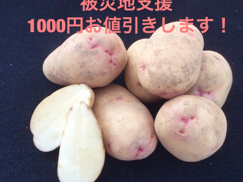 生でもお召し上がり頂けます☆じゃがいもはるか10キロ Lサイズ(250グラム)