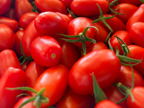 食べれるジュエリー🍅💎「ちゅるちゃんトマト」｜200g×12p【冬ギフト】