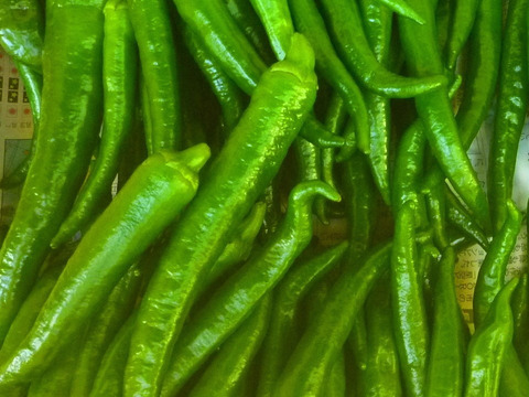 カラフルパワー！白ナス　黒/緑シシトウ　オクラ　ミニトマト～農薬/化学肥料・不使用