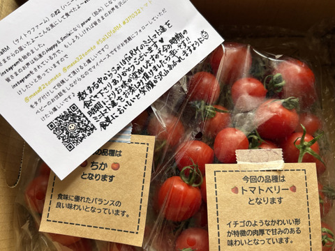 【食べ比べ 】食卓に笑顔を　ハートの様な形のトマトベリー＆ミニトマトのセット 1kg【千葉県旭市産】【トマト食べ比べ】