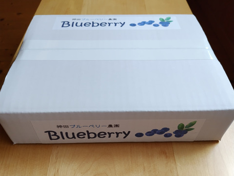 《訳あり》冷凍ブルーベリー２Kg 甘〜い！ お買い得！！