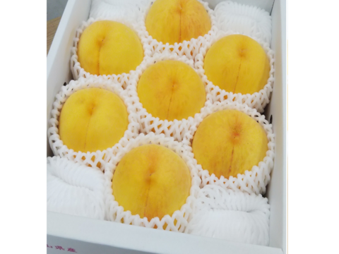 強い甘みと食欲をそそる鮮やかな色合いの「黄金桃」（ご家庭用・２kg）