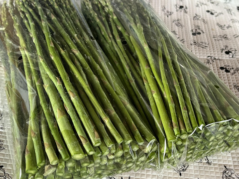 【訳あり極細】グリーンアスパラガス１ｋｇ　北海道幕別町産露地（Ｓ～ＳＳサイズ）