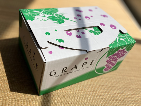 濃厚な甘み！種無し巨峰ぶどう【1kg:3房】