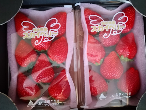 【大粒】
完熟スカイベリー