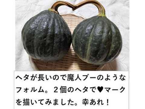 鉄かぶと（約3.5kg 2～4玉）★肉厚でジューシーなカボチャ！【冬ギフト】