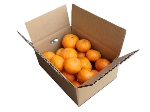 農家直送！なつみオレンジ　無選別2kg ≪秀品・訳あり品・サイズ混合≫ 〜蛍飛ぶ町から旬の便り〜　和歌山｜有田｜田口｜ギフト