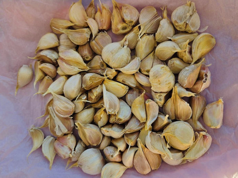 国産にんにく 500g　ポスト投函