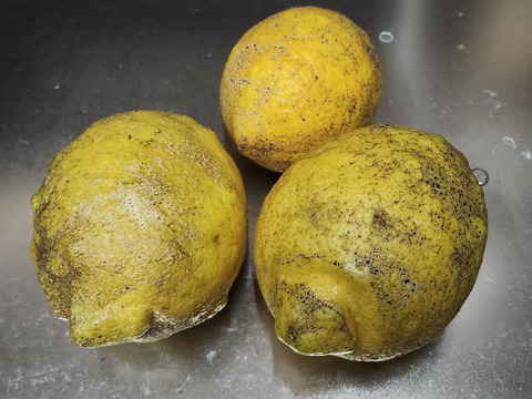果汁4kg【果汁用】【訳あり】【完熟】【栽培期間中農薬不使用】大崎上島レモン4㎏