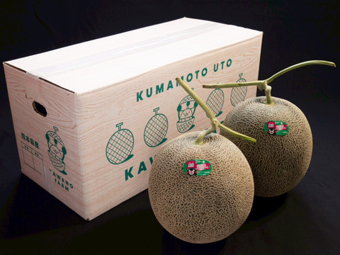 【有明育ちの肥後の大将】肥後グリーンメロン 2玉