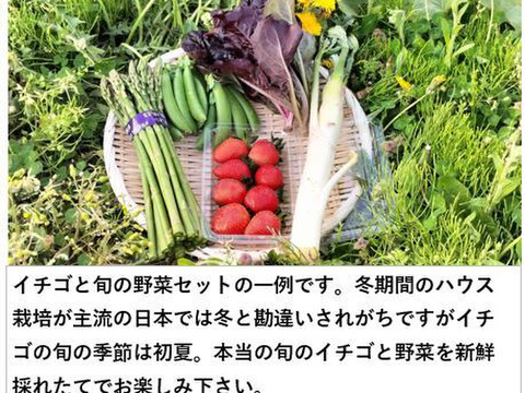 イチゴの野菜セット（4種類以上）