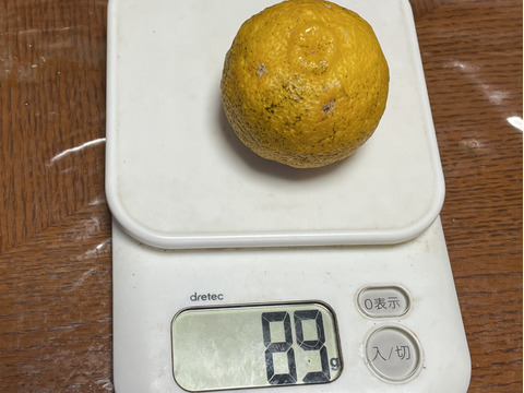 😊【訳あり】甘味と程よい酸味の藤中みかん4㎏香り際立つユズ1㎏〈セット〉5㎏