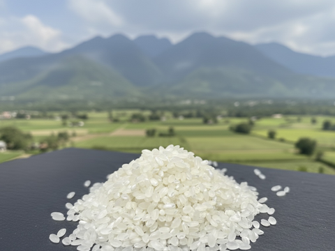 肉にも野菜にも相性抜群！うま味たっぷり！【令和7年度産】滋賀県産きぬむすめ白米5kg