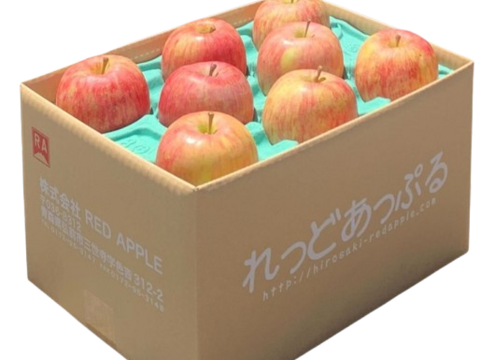 【11月中旬ころ収穫】葉とらずサンふじ 当園の１番人気りんご！ 家庭用 5kg（12〜26個）