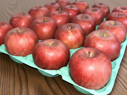 手のひらサイズ　サンフジ小玉　9.8㎏（40～50玉）