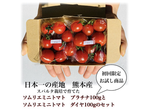 【初回限定お試し】ソムリエミニトマト プラチナ100gとダイヤ100gの食べ比べセット