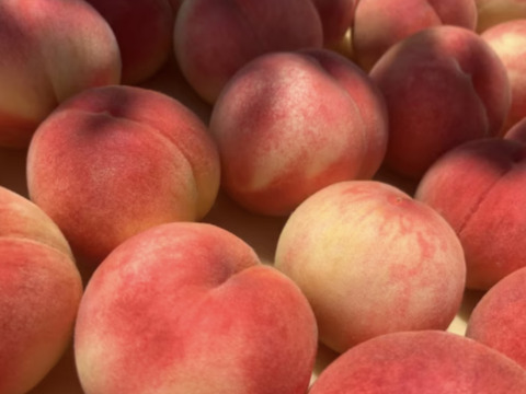 《予約商品》８月上旬～ 桃 あかつき 5キロ箱 13～18玉