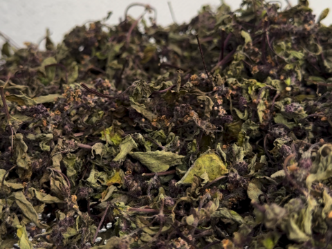 【増量】たっぷり！まとめ買い、完全自然のままの贈り物。ホーリーバジルティー20gx3袋合計60g（急須で約45回分）