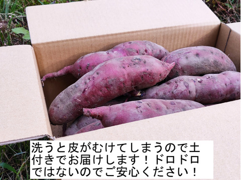 【有機JAS認証 紅はるか3kg,6kgまで送料同額！】サツマイモ好きが選ぶのはこの品種！ねっとりとした食感！極甘！10月に収穫し追熟完了！京都大原の棚田から今がまさに食べごろのサツマイモのご案内！