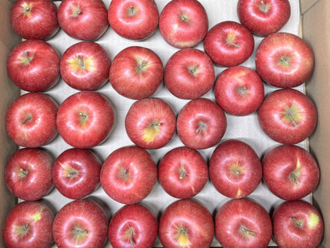 ★すぐに出荷★【加工用バラ詰め】極小玉のシナノスイート!! ジュース、スイーツ、コンポート、すりおろし林檎　加工用・業務用🍎約4.5Kg青森県産