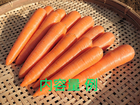 【農薬化学肥料不使用】甘くて栄養豊富！にんじん 人参 ベーターリッチ 箱込み2kg