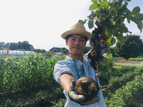 【レシピ付】これぞじゃがいも!香り豊かなホクホク男爵いも(1.6kg)