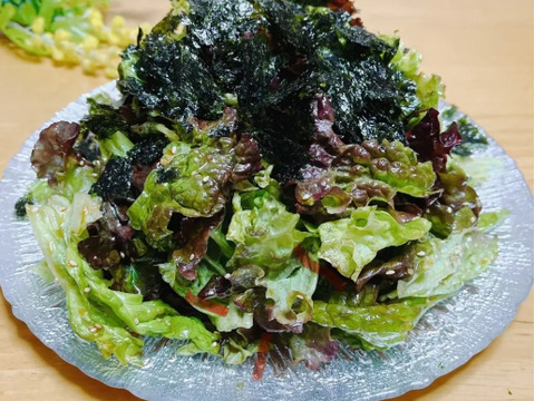 【福袋】玉ねぎ4kg🧅とキヌヒカリ玄米2kgその他葉物野菜など3種類以上の野菜セット