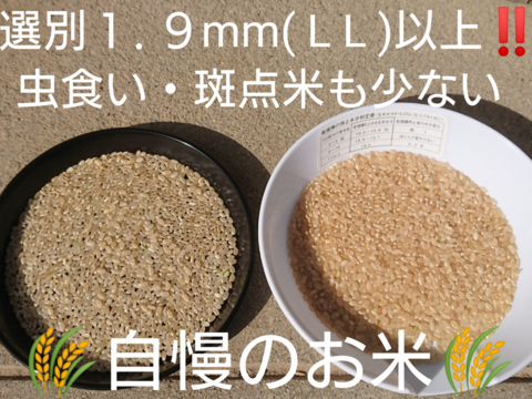 【 玄米・20kg 】米の旨味たっぷり 自然栽培米 ひとめぼれ(5kg×4袋)