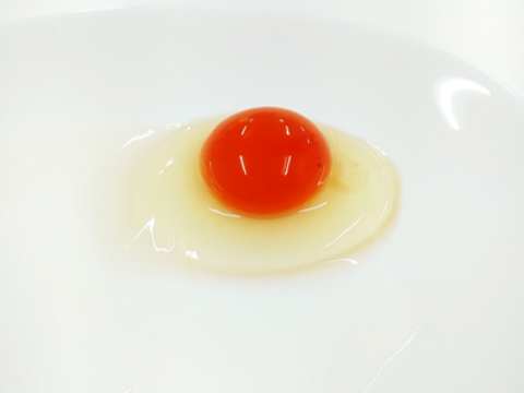 烏骨鶏【20個入り】　濃厚な黄身！爽やかな白身が自慢！【烏骨鶏輝翔卵】