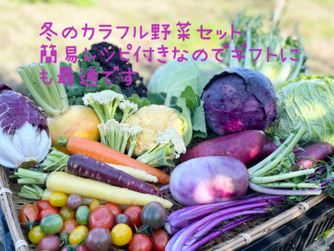 【有名ホテルシェフ御用達】カラダ喜ぶ『Mサイズ冬のカラフル野菜セット8品目』