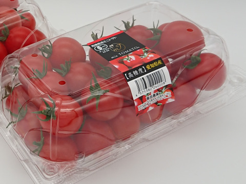 【父の日ギフト】珍しいトマトのチョコ、味の濃い【極甘】🍅オーガニックフルーツミニトマト１０００gの特別セット
